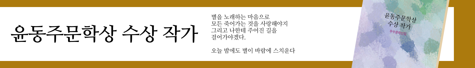 윤동주문학상수상작가우수문학선집